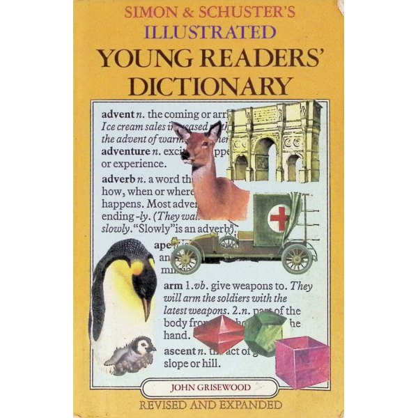 原版儿童绘本7-10岁平装Illustrated Young