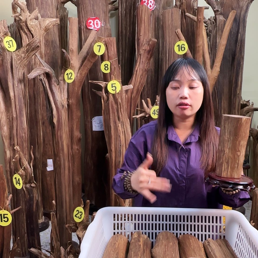 沉香沉香碎屑天然沉香原材料香料熏料