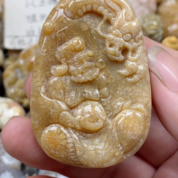 颈饰未镶嵌硅化珊瑚（珊瑚玉）