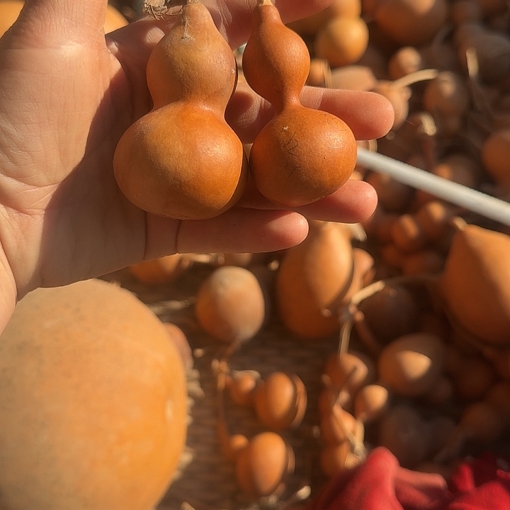 钱***多钱多多钱多多钱多多