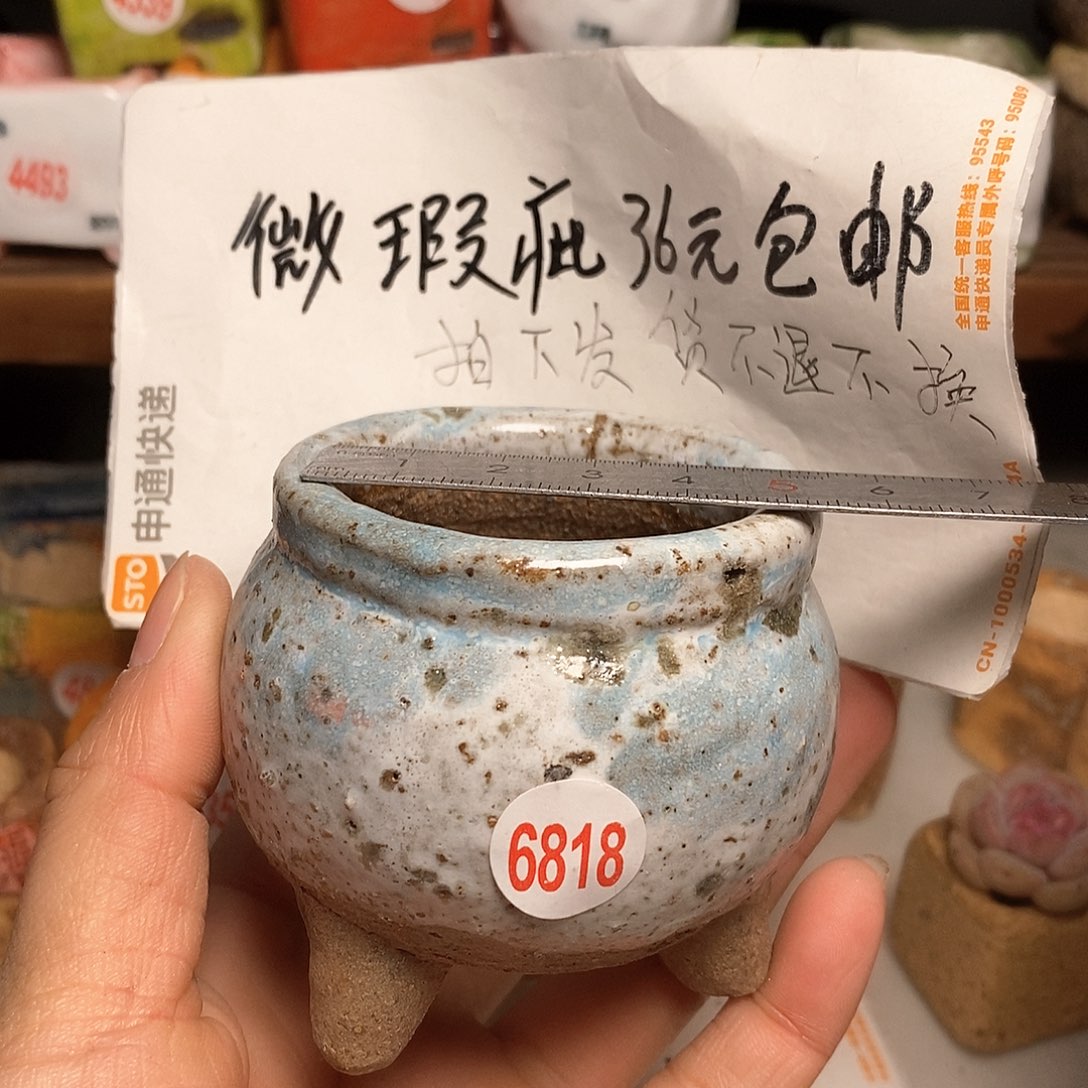 红陶拍5送一个小