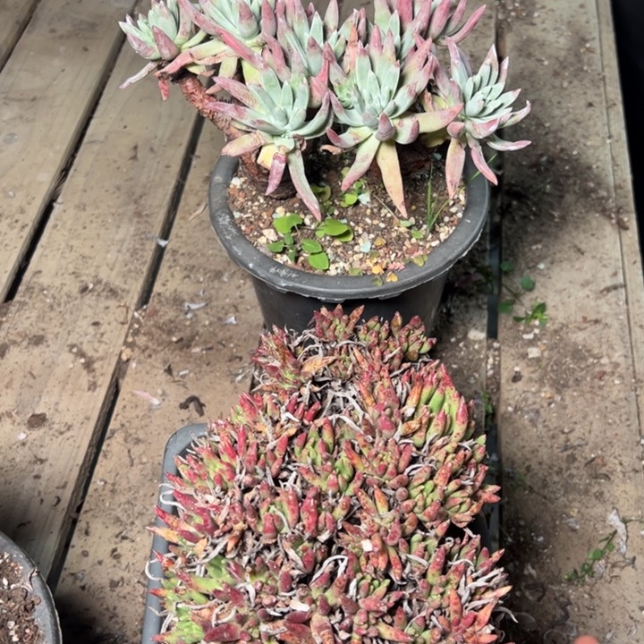 1973哈哈哈哈哈哈哈