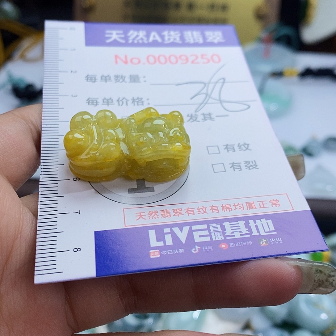 翡翠未镶嵌颈饰9250