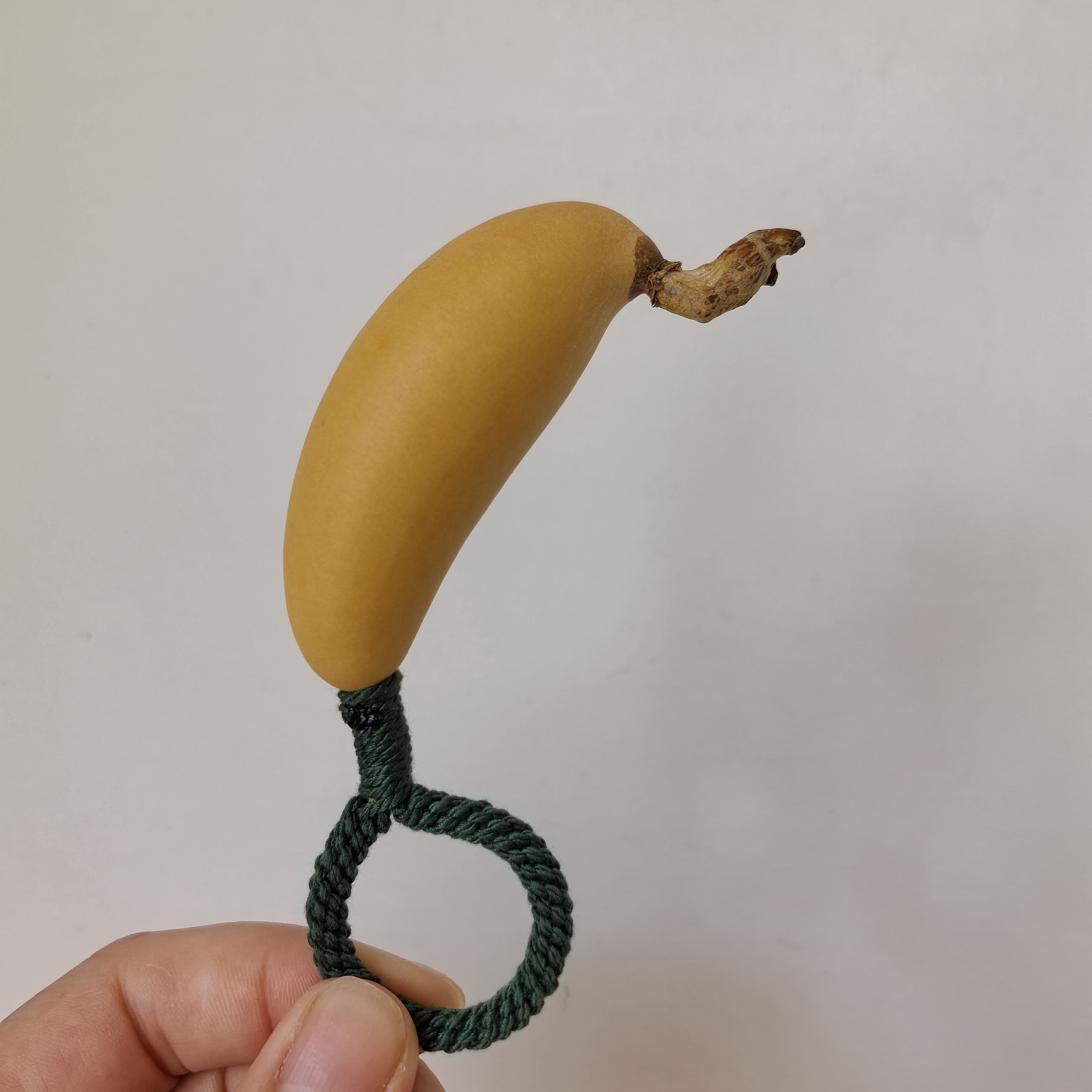 凸脐香蕉厚皮全品无暇