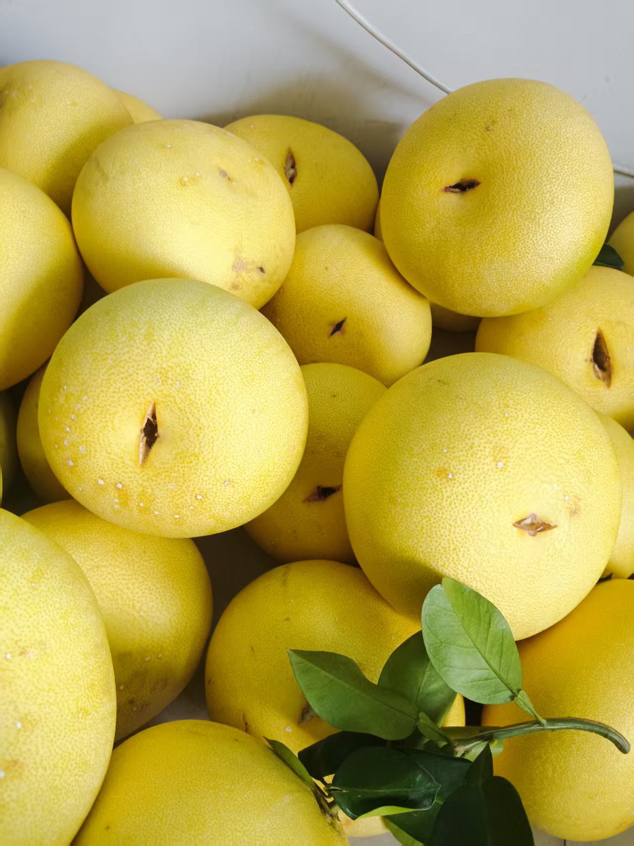 【玉环文旦】裂果裂口文旦不耐放介意勿拍尽快吃3天内吃完无售后