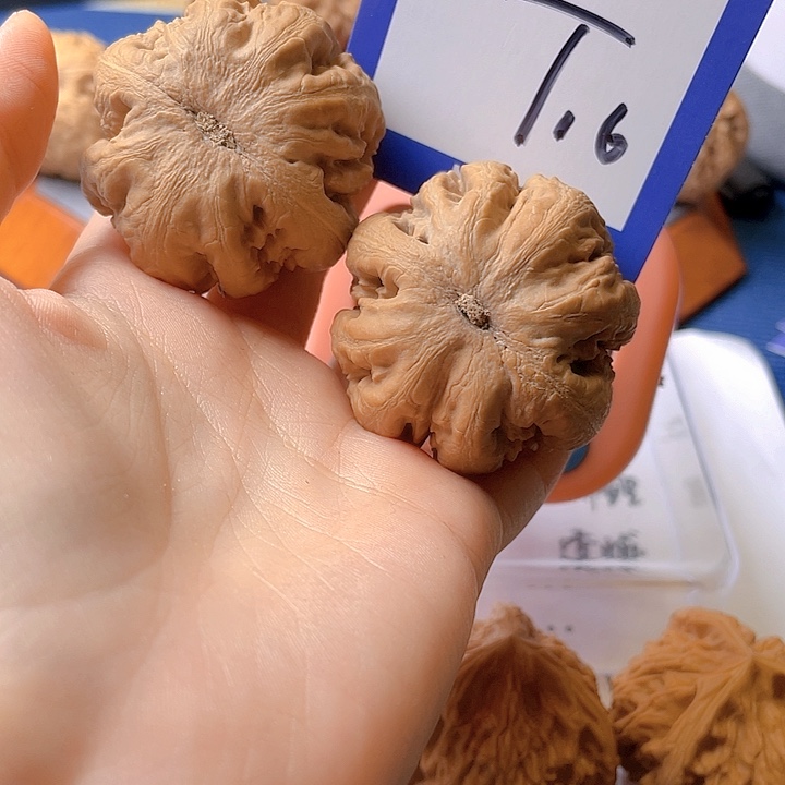 文玩核桃把件c****舍文玩核桃16