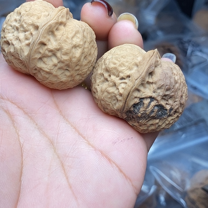 文玩核桃把件45号40mm