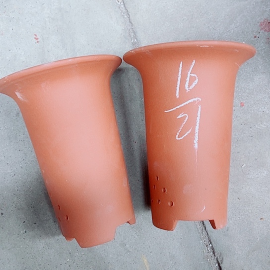 红陶紫砂紫砂紫砂