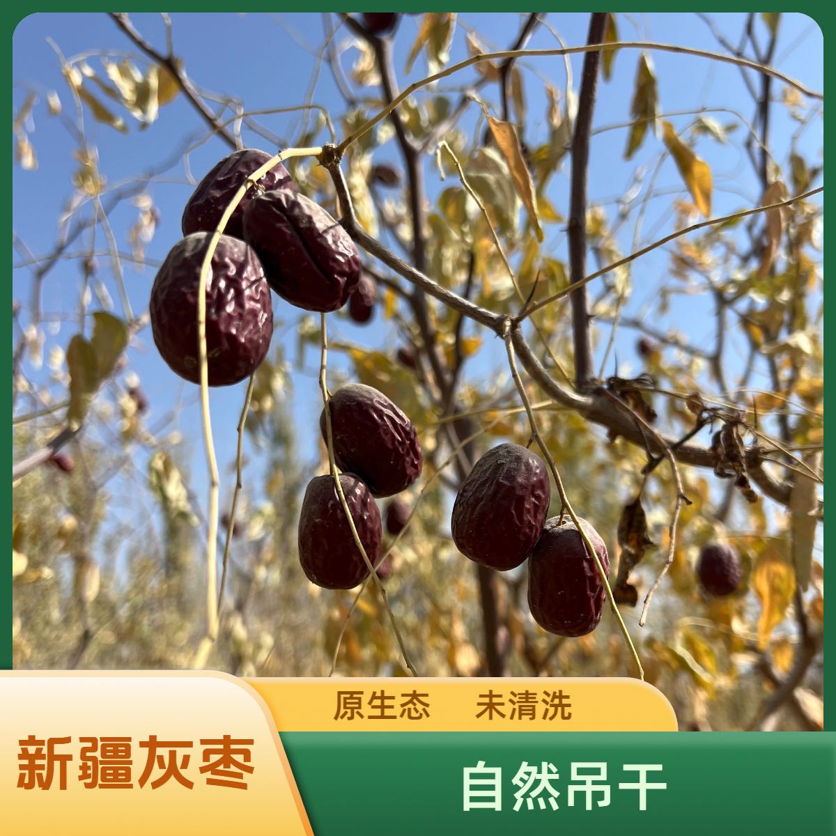 新疆若羌县灰枣5斤大枣香甜皮薄肉厚自然吊杆三通一达发货