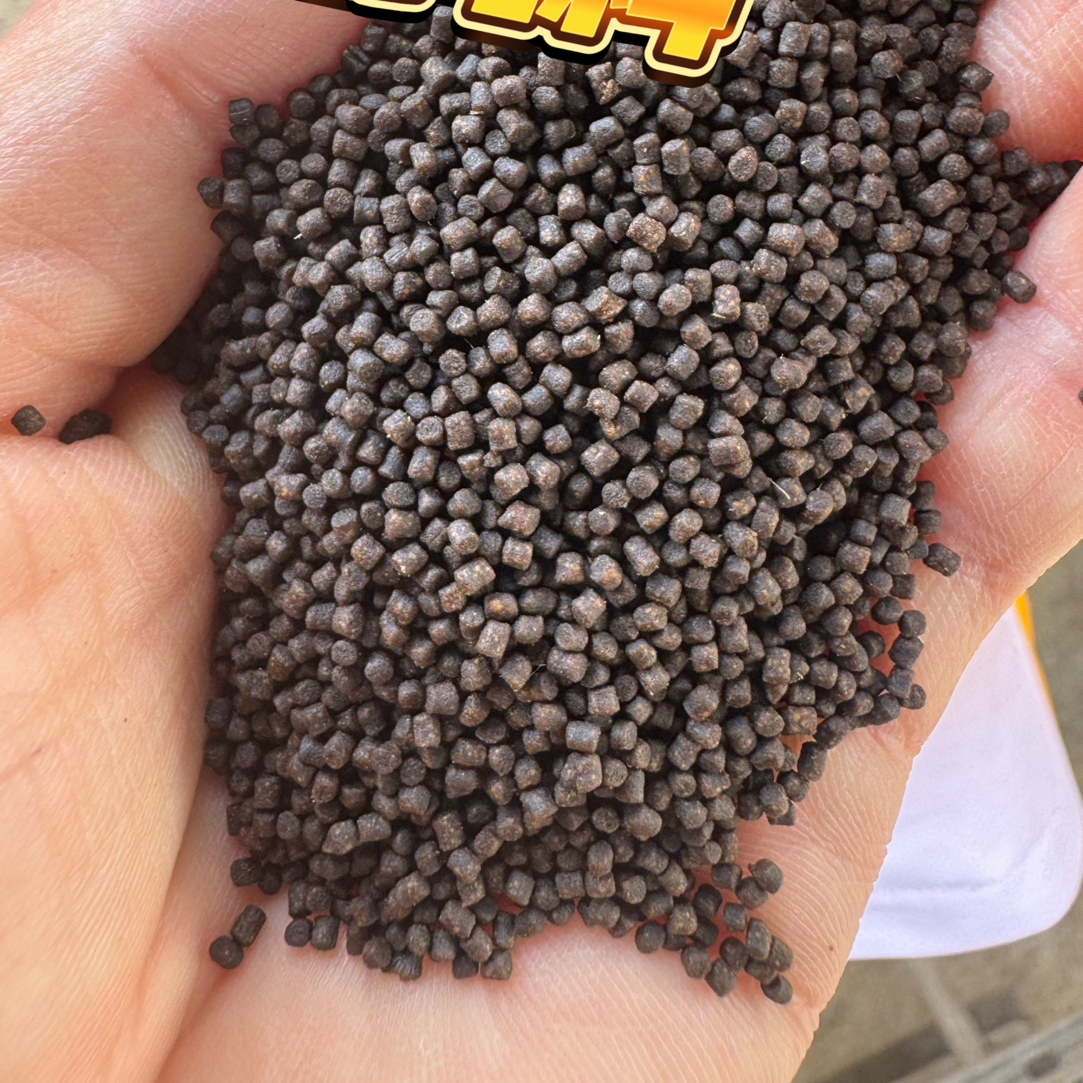 陈氏观赏鱼直播间福袋链接（偏远地区不包邮）