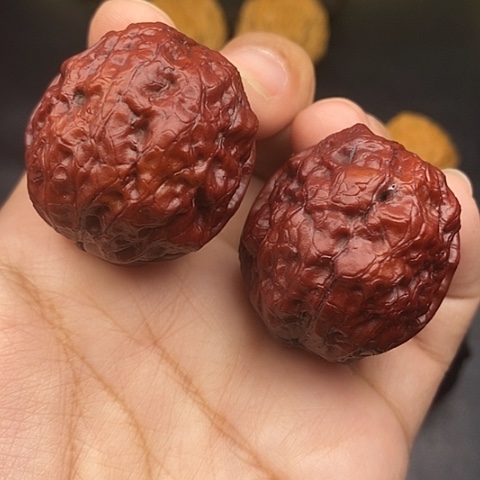 文玩核桃把件40尺至尊疙瘩