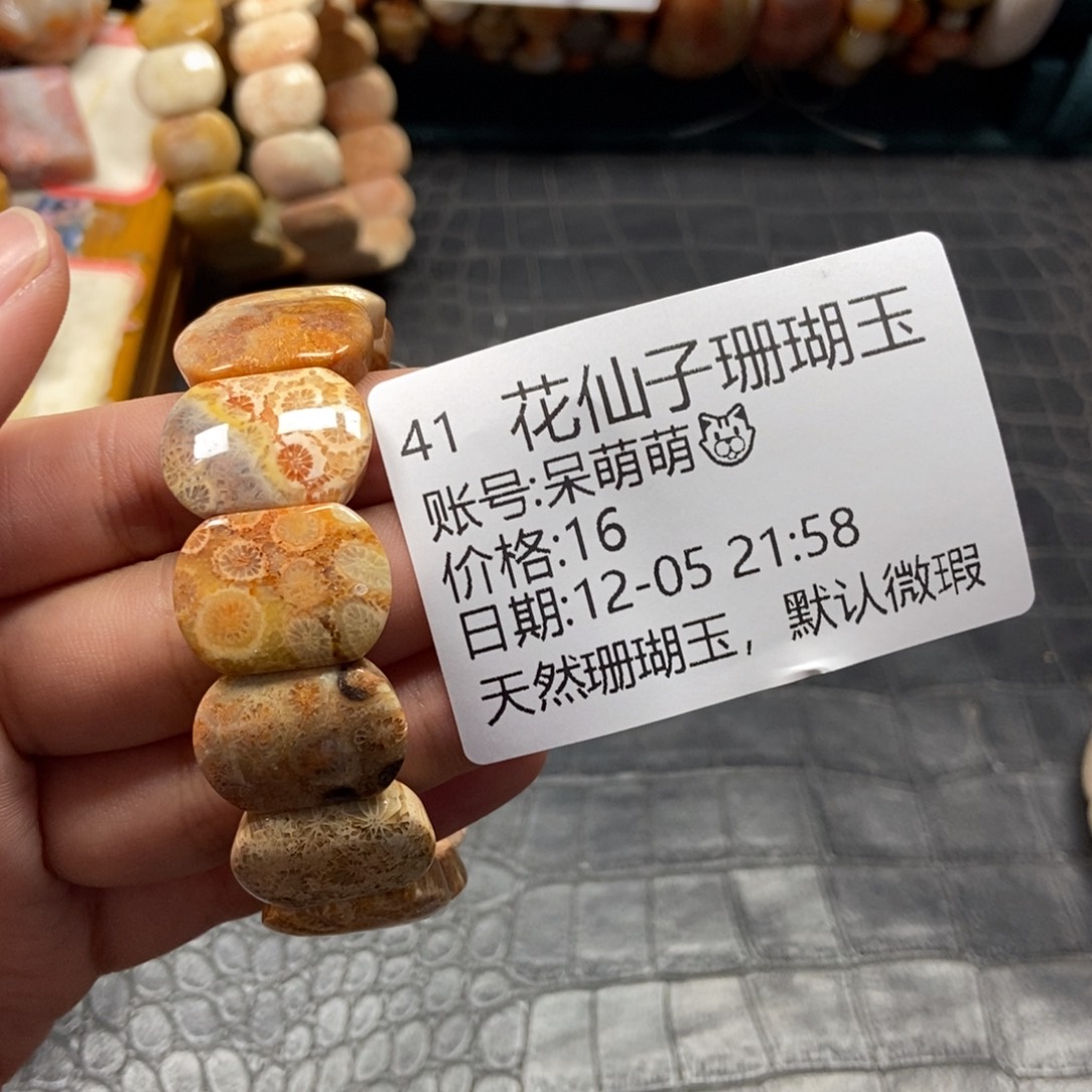 呆****硅化珊瑚（珊瑚玉）未镶嵌珠宝半成品41