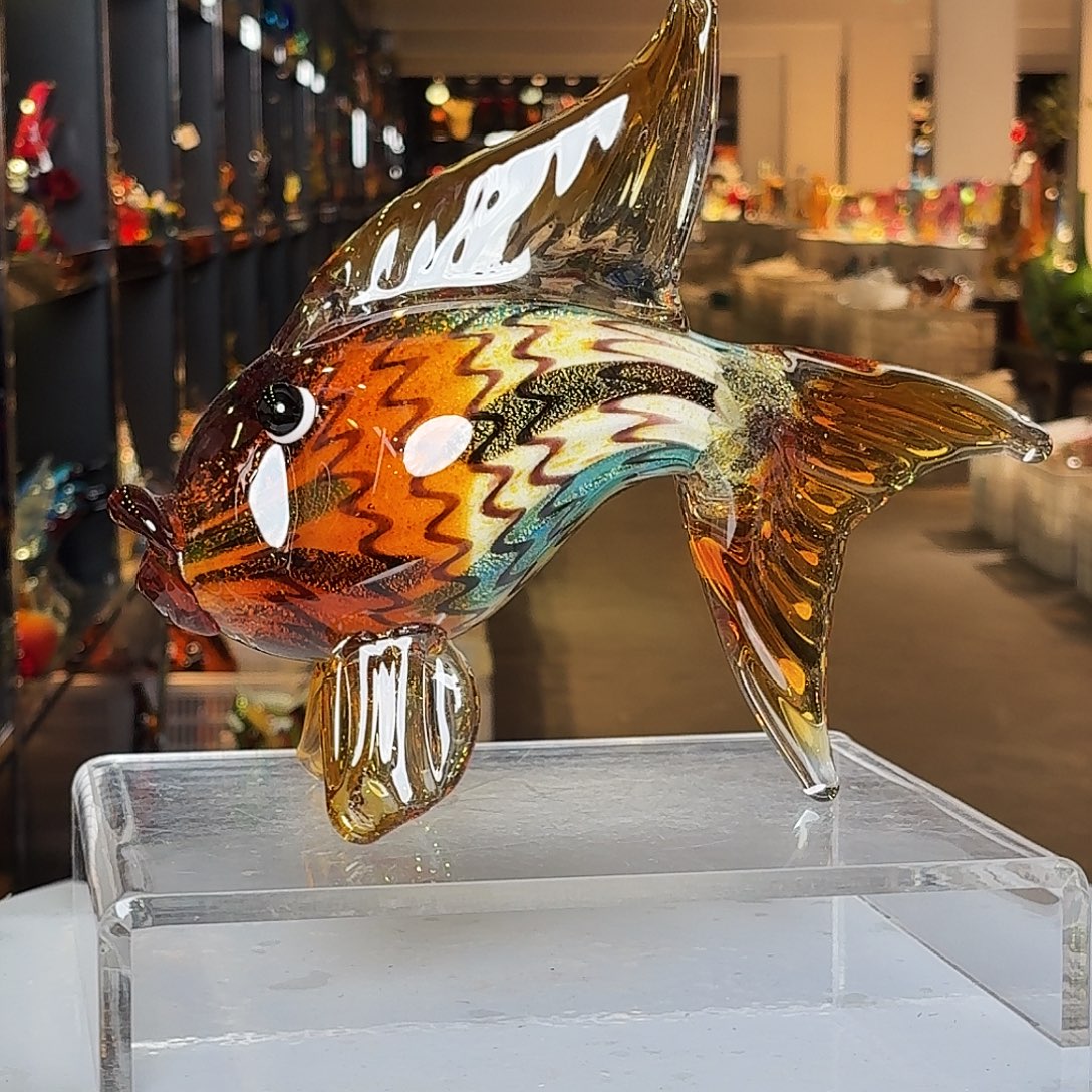 茶宠琉璃花开的时候真的很