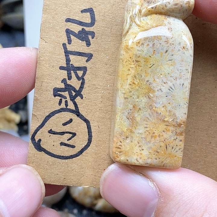 颈饰未镶嵌硅化珊瑚（珊瑚玉）