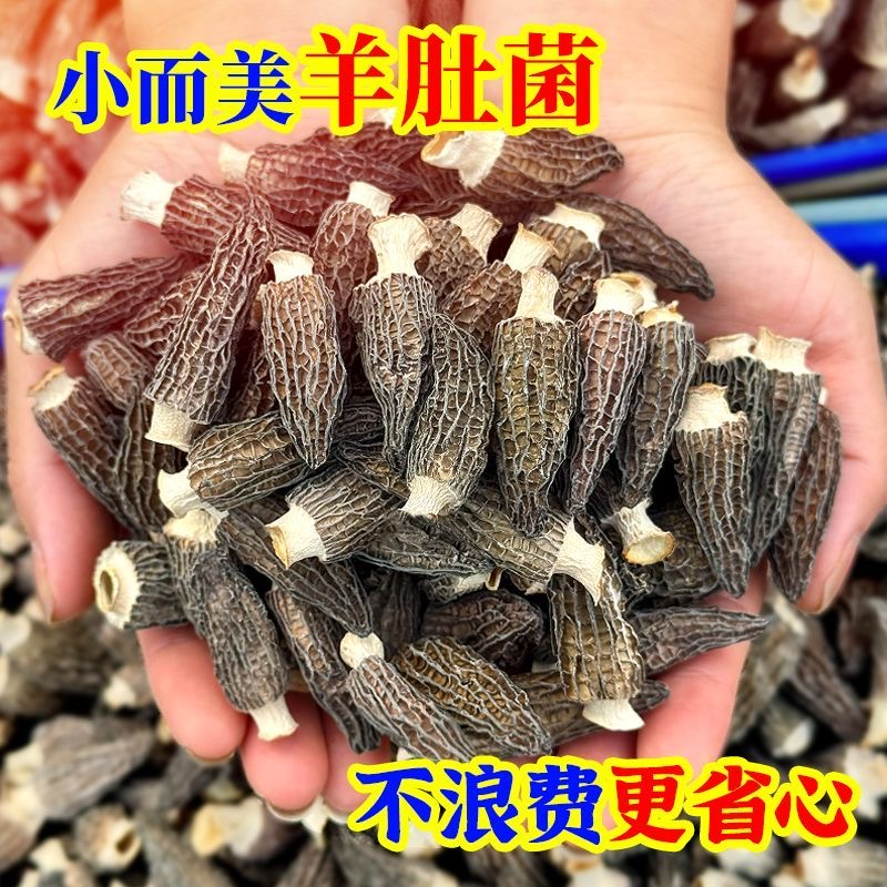 头茬剪脚羊肚菌干货原色原味无硫煲汤食材鲜美