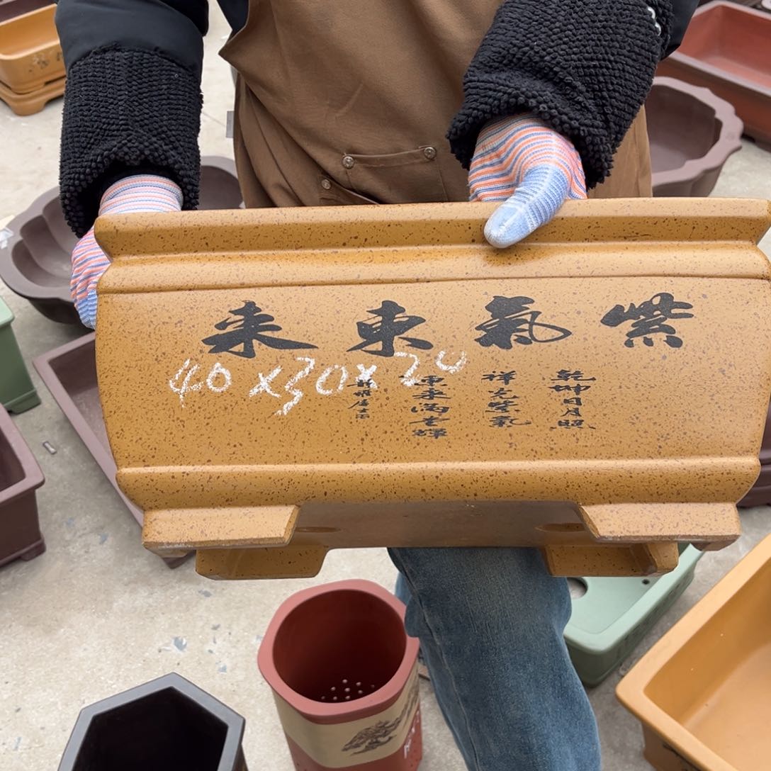 紫砂花盆盆景艺术