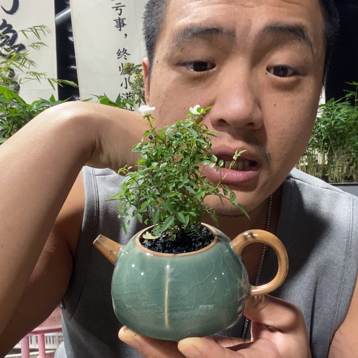 以实际为准退款拉黑一物一拍