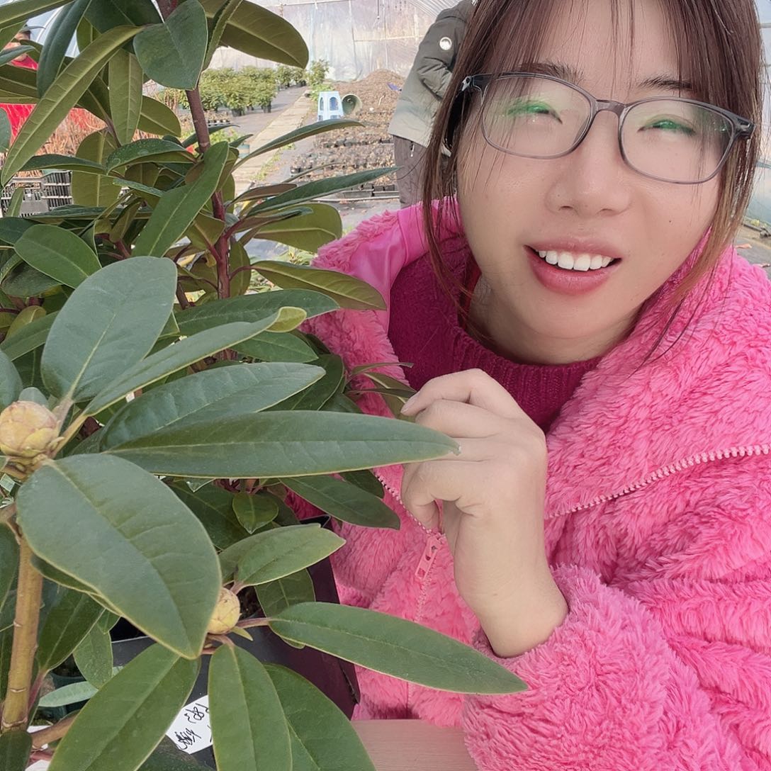 无花朵两颗甜心度em