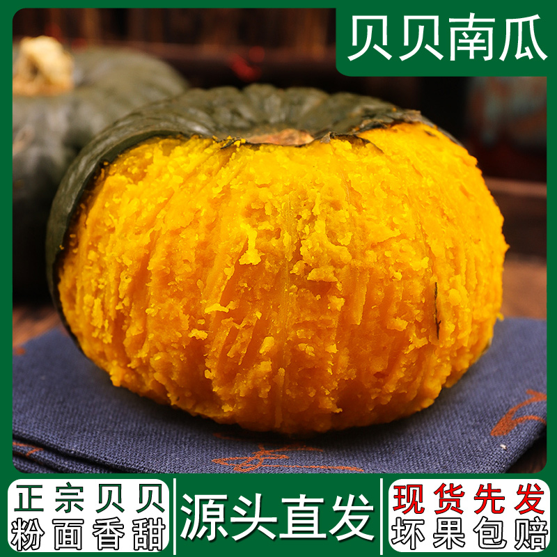 山东贝贝南瓜粉糯香甜宝宝辅食板栗味4.5斤（4-7个）