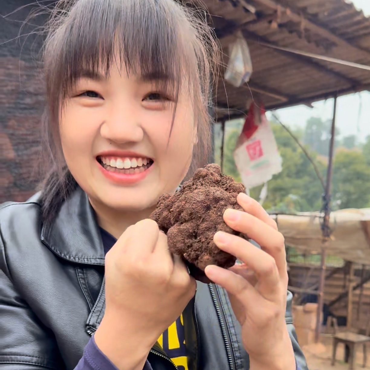 云南大个现采鲜黑松露食用送礼佳品