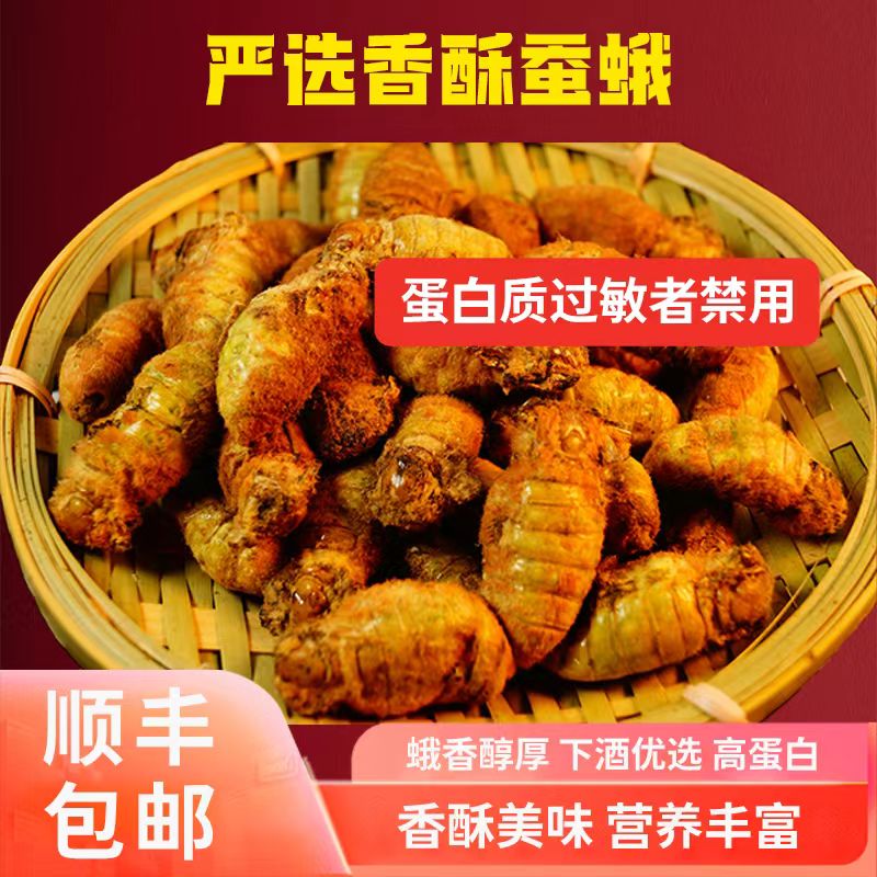 新鲜东北特产雄蚕蛾公蛾已脱毛炒毛蚕蛾活体速冻