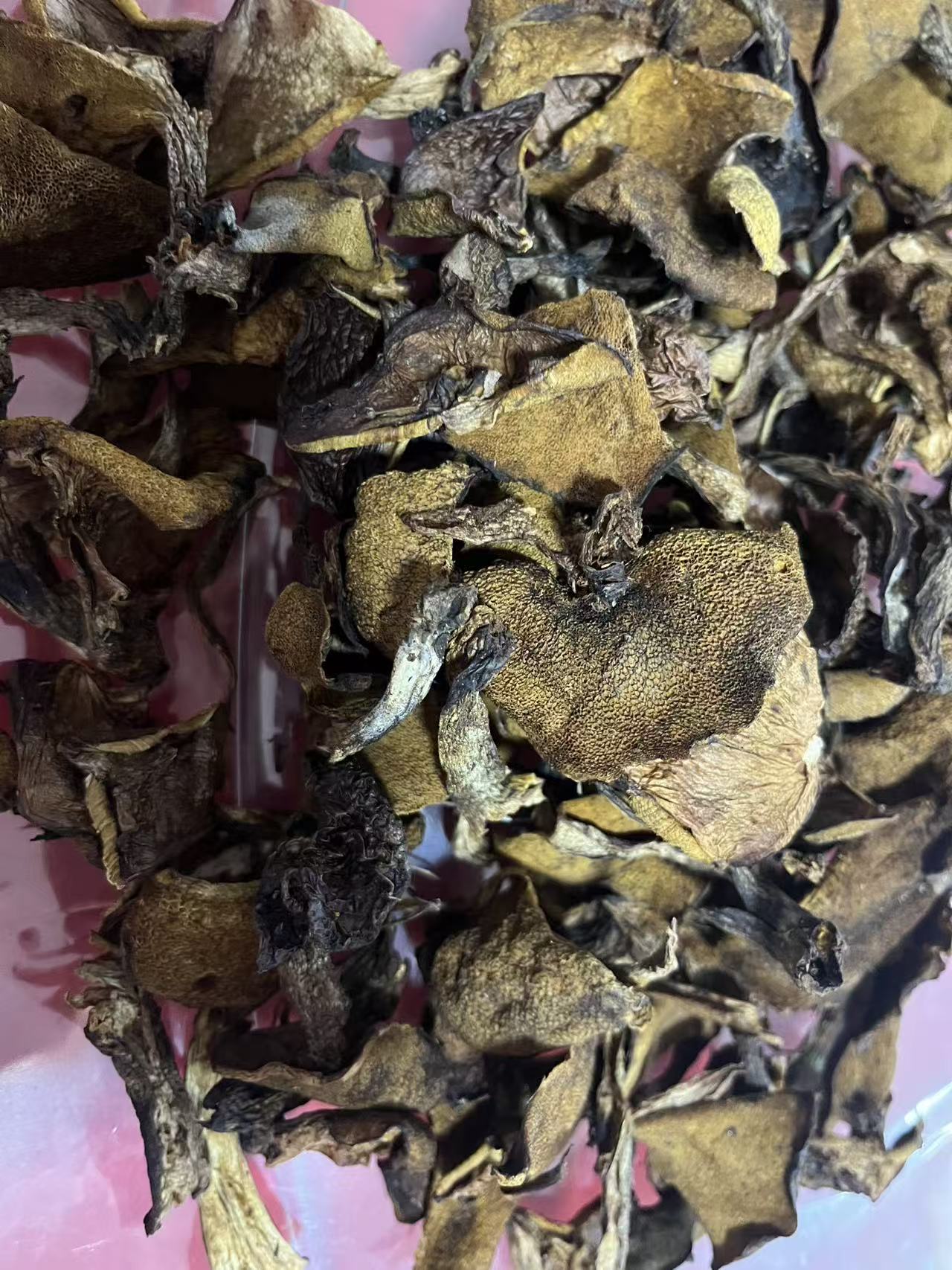 松蘑+鹿茸菇+香丁菇【阅农山庄专属】