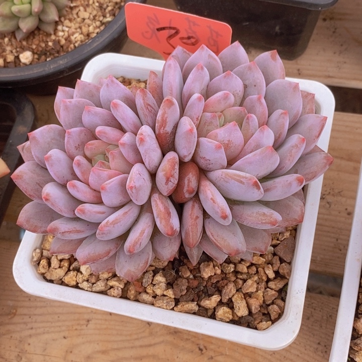 这样可以有效降低