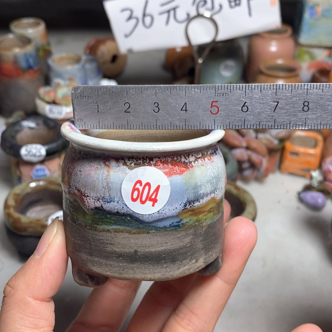 拍5送一个小礼物