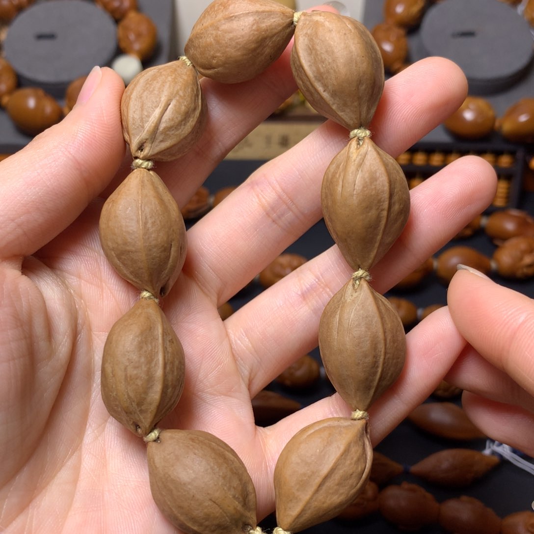 橄榄核其他橄榄素核