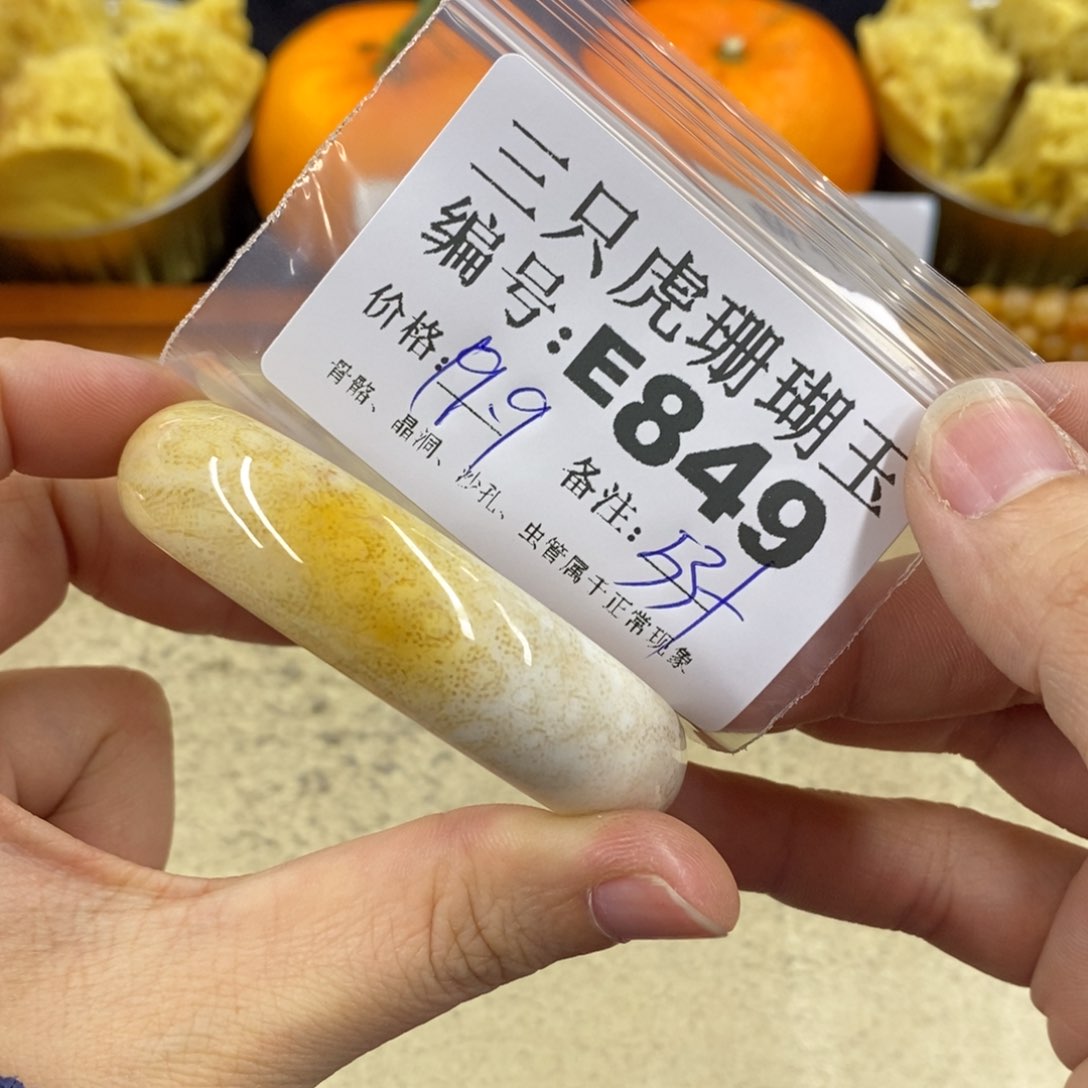 硅化珊瑚（珊瑚玉）1未镶嵌.*