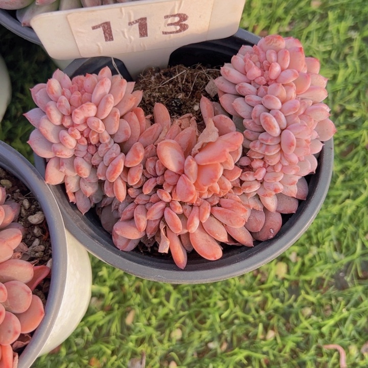 健健康康平平安安