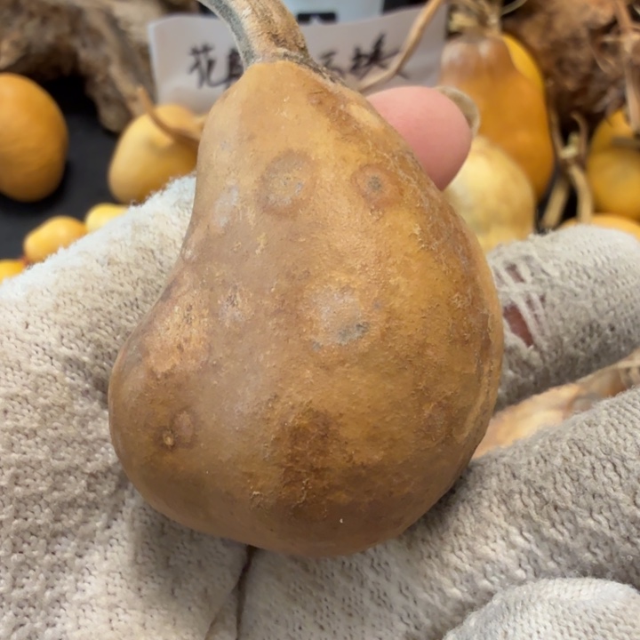 惊***乐66666666666777777778