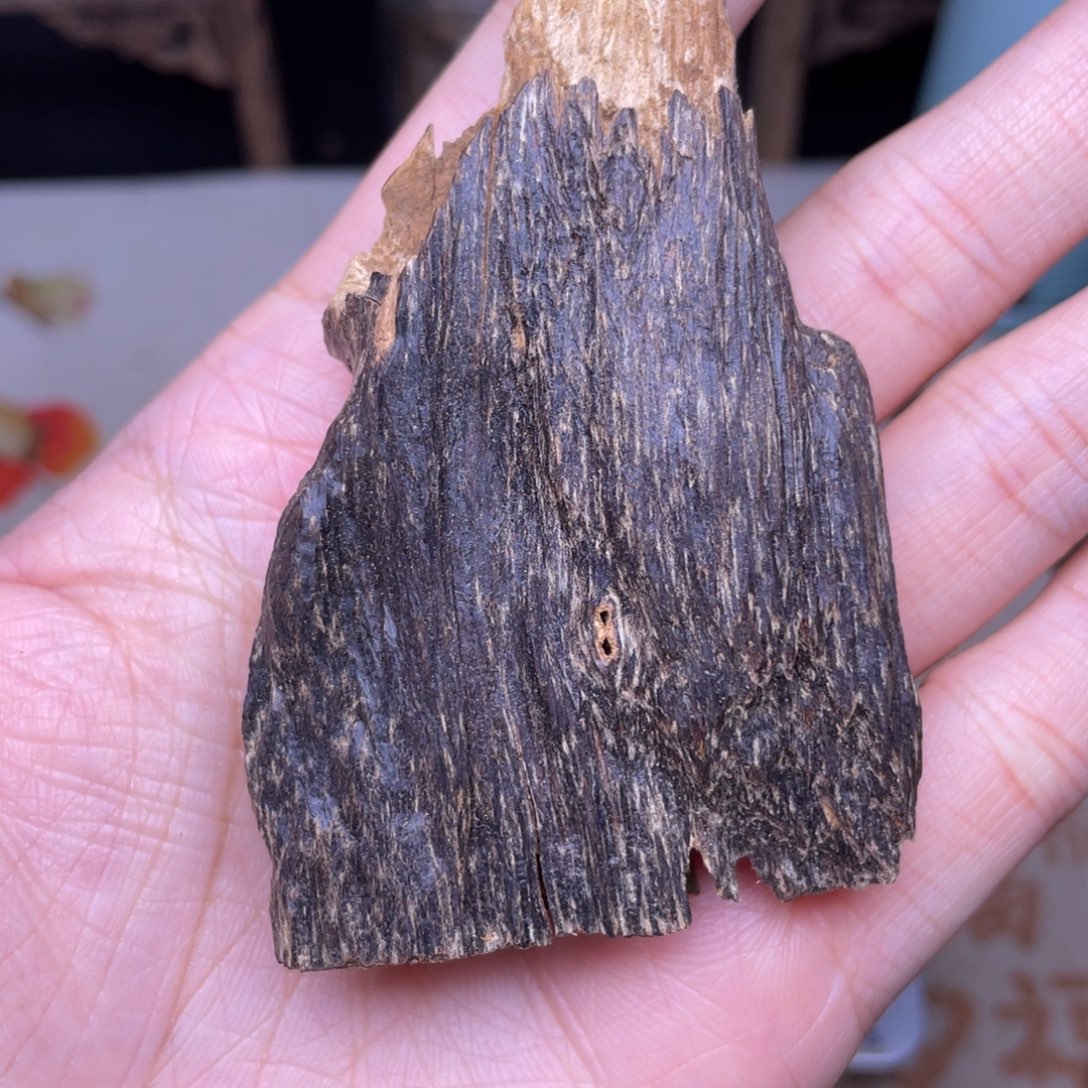 香榧木海南临高黑油虫漏6克