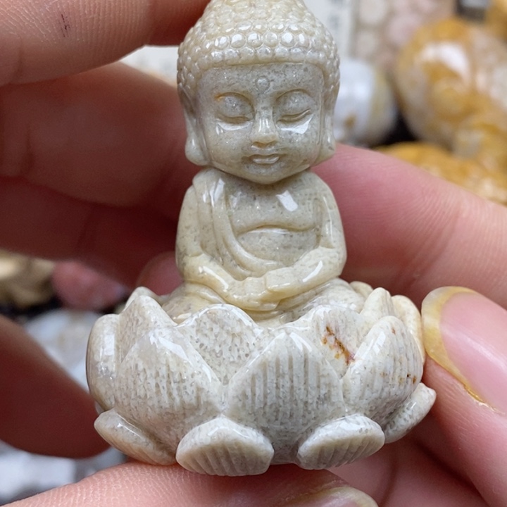 颈饰未镶嵌硅化珊瑚（珊瑚玉）