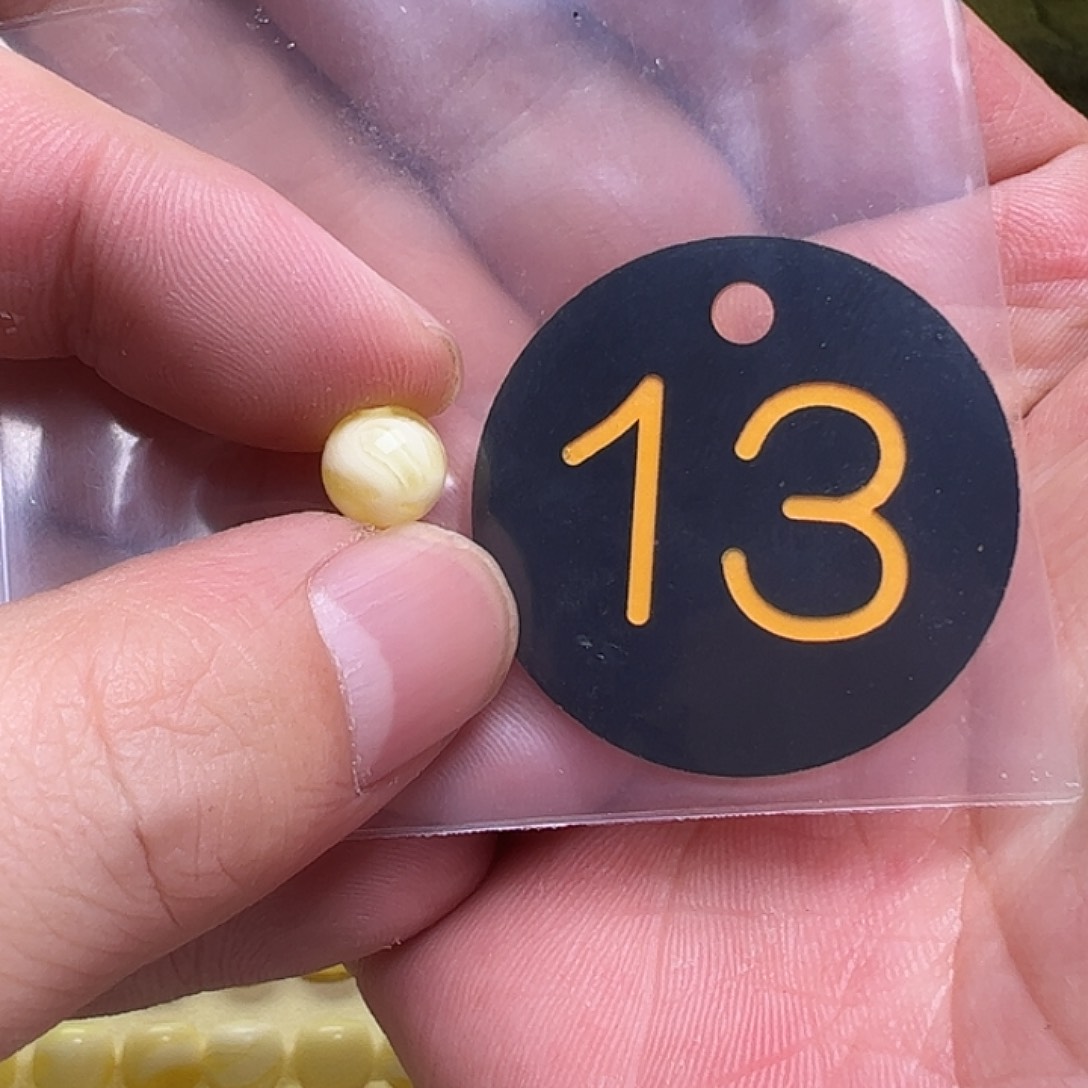 蜜蜡未镶嵌珠宝奇石6****吧8.2mm