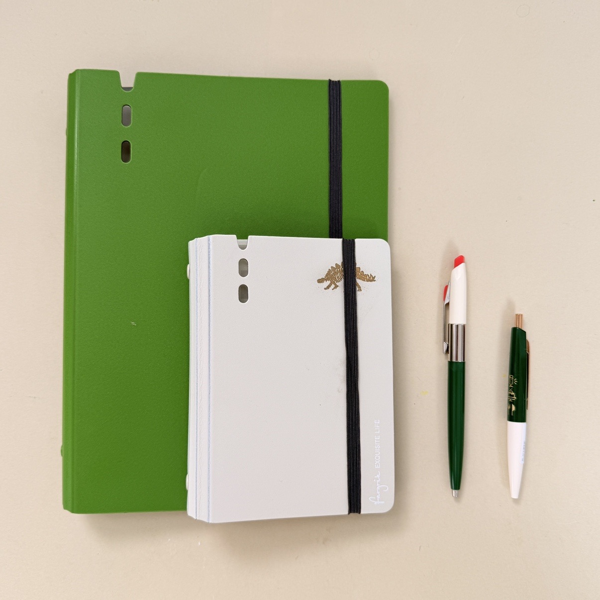 网汇鹅· 小葱拌豆腐 书写本笔彩色套装