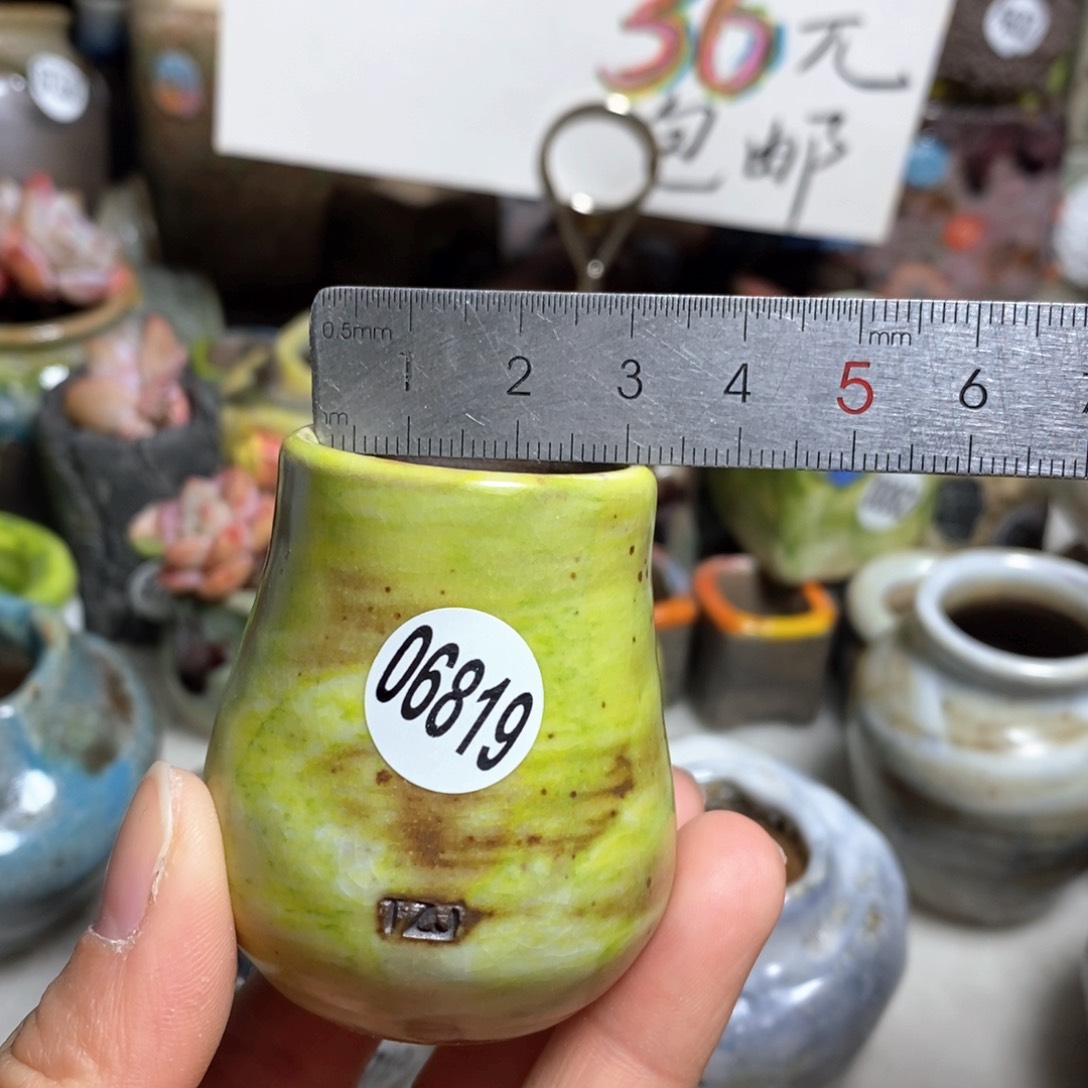 花盆拍5送一个小礼物