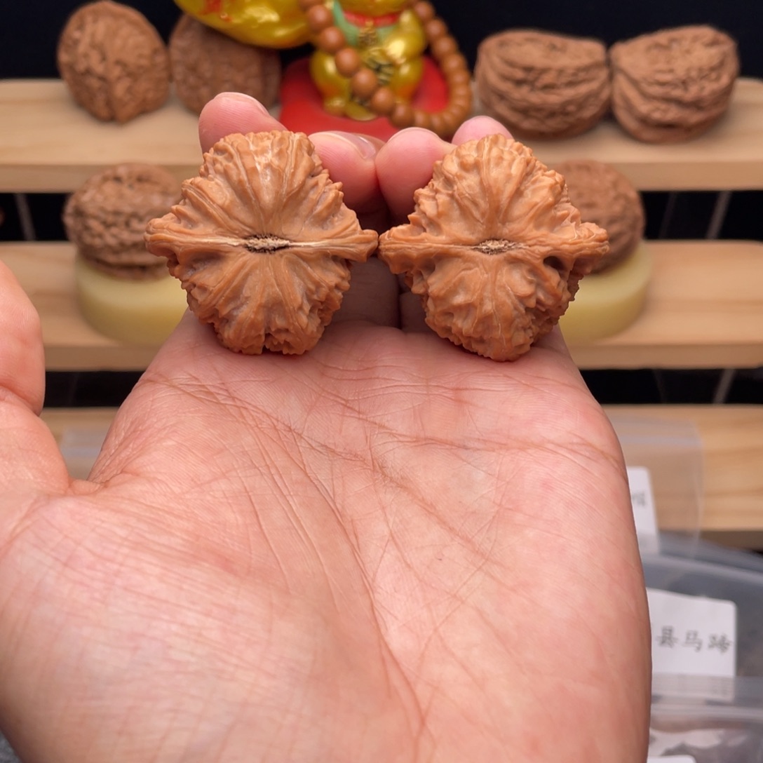 興***龍把件文玩核桃38.5三角白