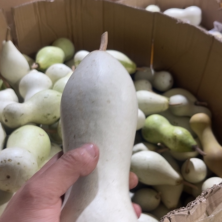 大果紫檀（缅甸花梨）已*置