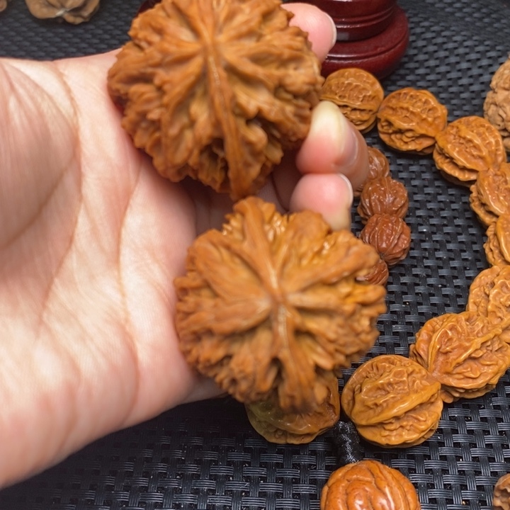 秦岭野生1111111111