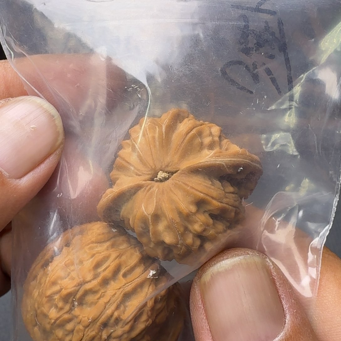 金刚菩提把件?*昇福利核桃磨盘