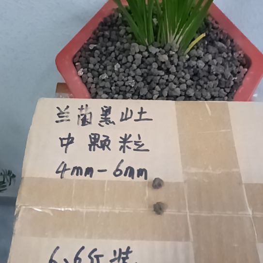 亦***宁兰菌黑山土中颗粒6.6斤