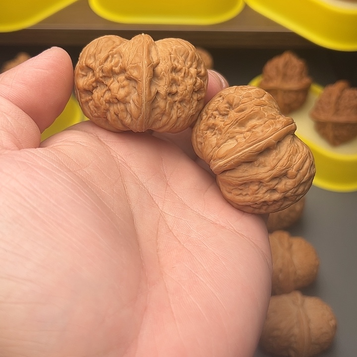 48尺精配头货平谷元宝