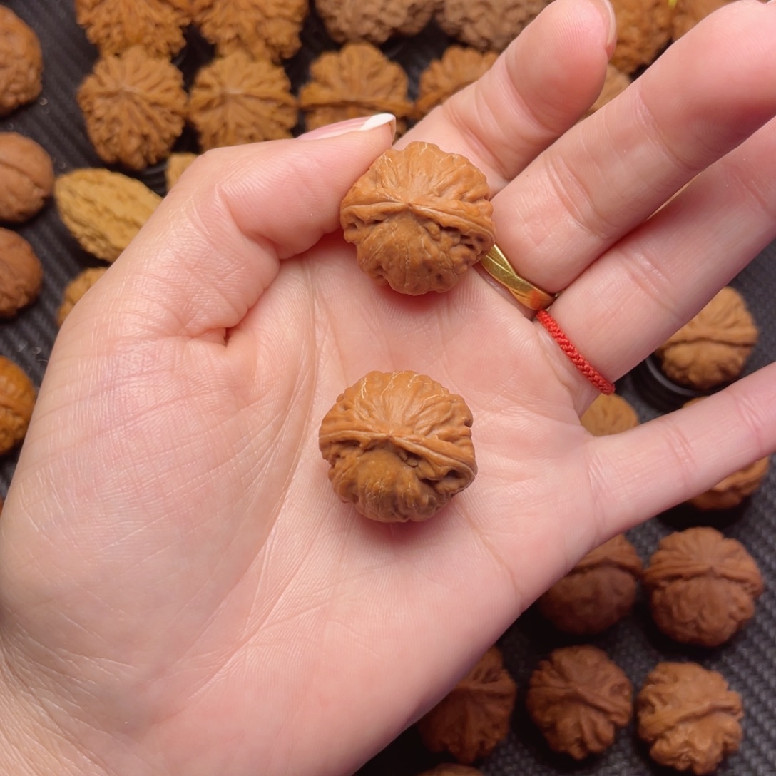 无***夏文玩核桃把件帝王龙脊