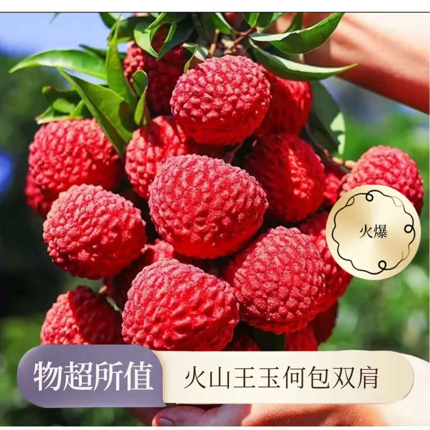 【顺丰冷链】火山王玉荷包新鲜荔枝产地直发现摘当季荔枝产地直发