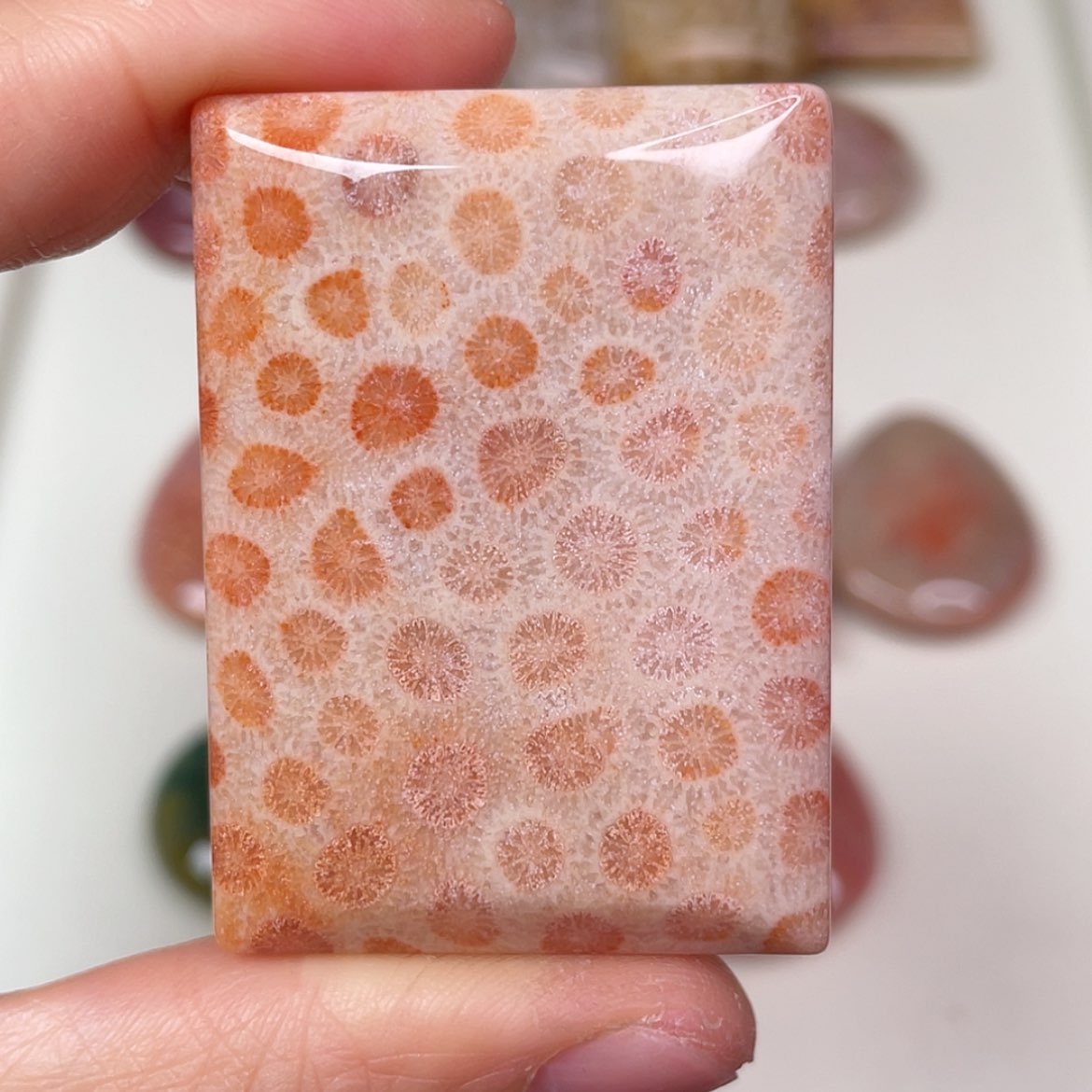 【闪购商品】未镶嵌吊坠(赠链)硅化玉