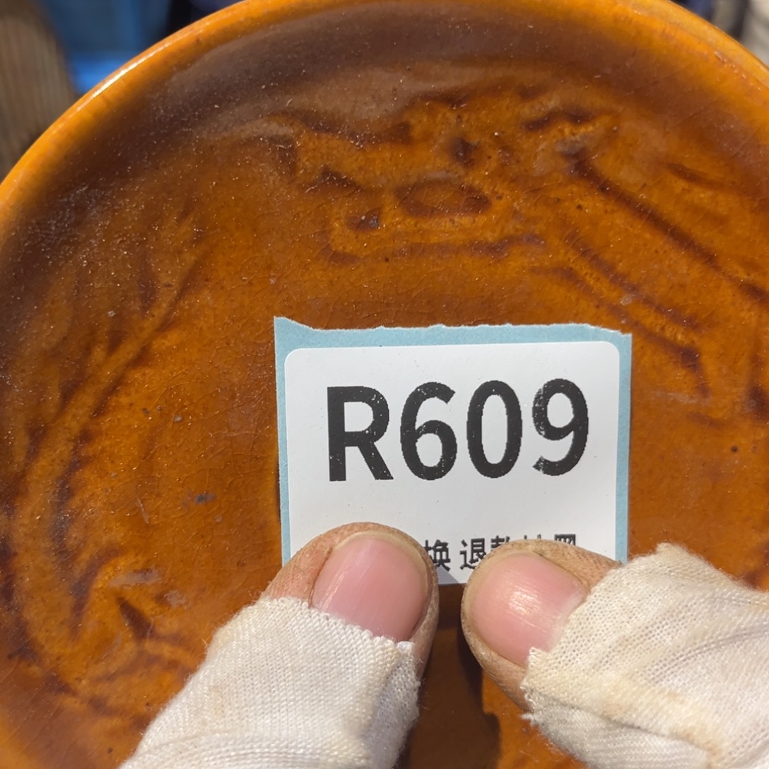 玖***r陶瓷直播链接火爆热卖热卖