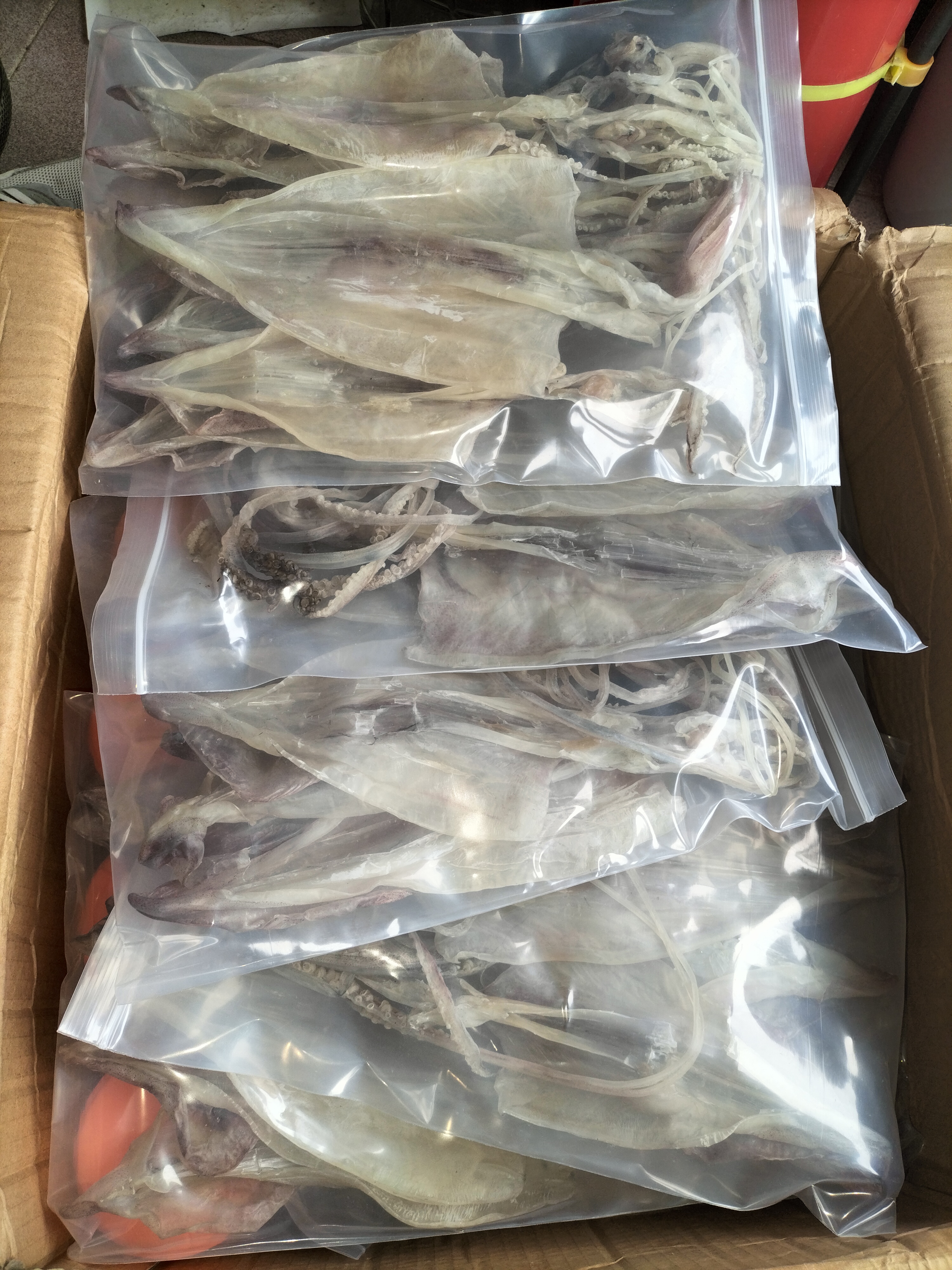 本港特产，汕尾就船鱿鱼干货，鮮甜好吃！6至10个500克袋装