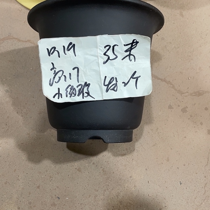 宜兴丁山张伟花盆