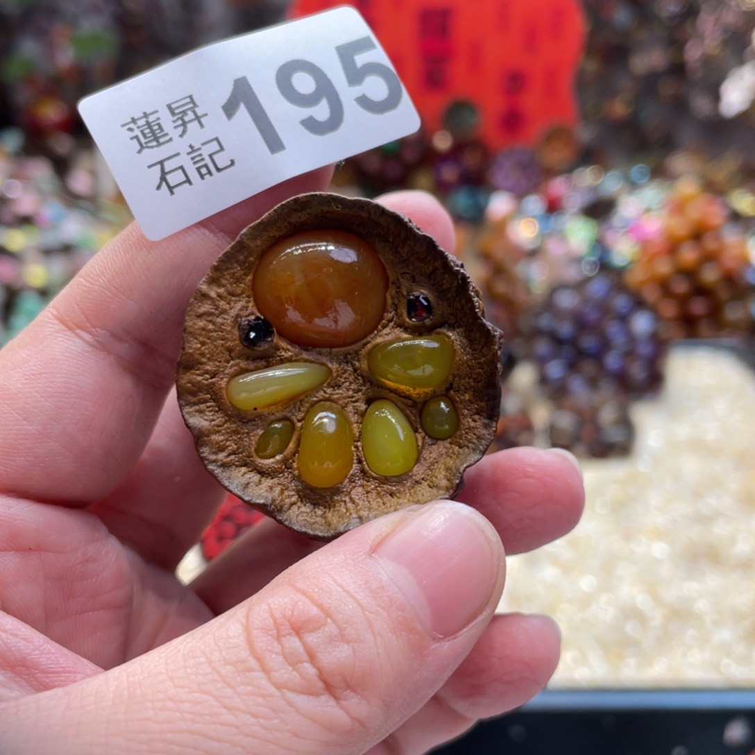 核桃木/黑胡桃（胡桃木）195